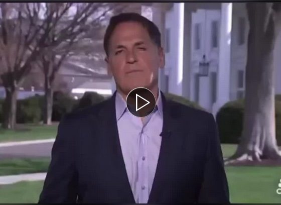 INTERVIEW: THE IMPORTANCE OF AI FOR COMPANIES & CO.